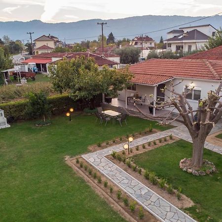 Villa Castellano Vasiliki Vasiliki  Esterno foto