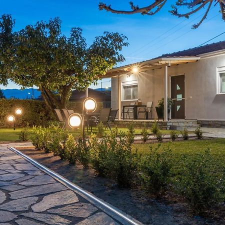 Villa Castellano Vasiliki Vasiliki  Esterno foto