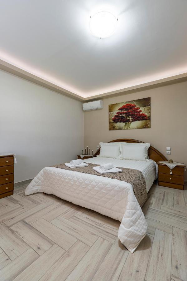 Villa Castellano Vasiliki Vasiliki  Esterno foto