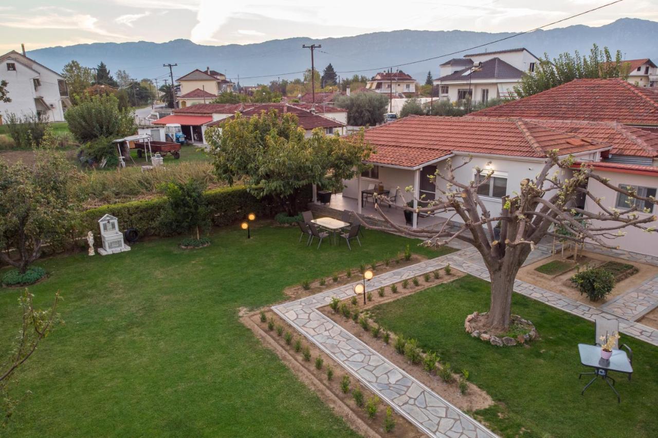 Villa Castellano Vasiliki Vasiliki  Esterno foto